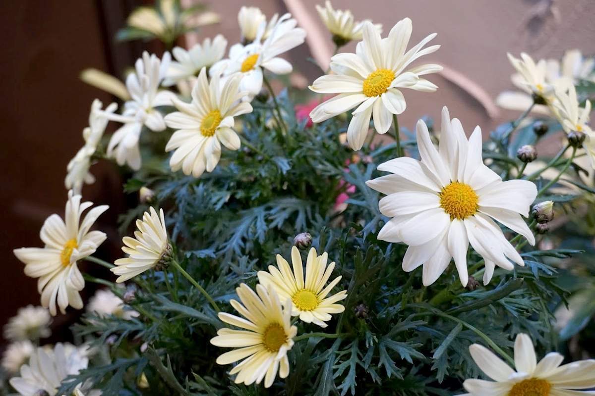 利用案内室内の様子