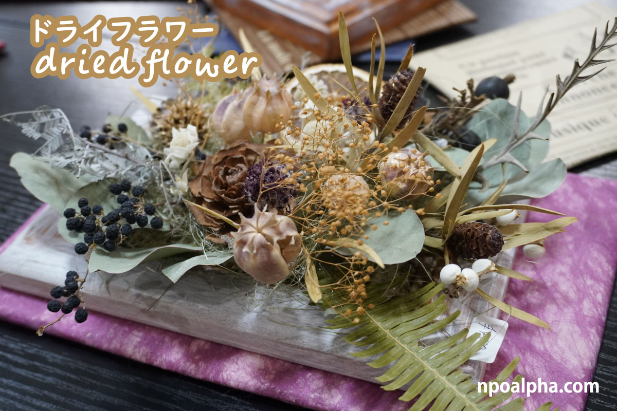 ドライフラワーNPO法人アルファー